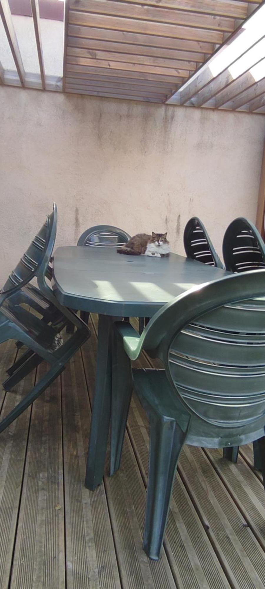 Berck Maison De Vacances Avec Terrasse Et Jardin, المظهر الخارجي الصورة
